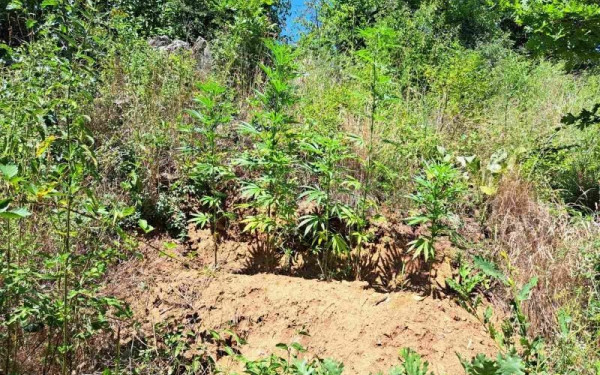 Κύπρος: Πάνω από 28 κιλά κάνναβης ξεβράστηκαν στη θάλασσα 