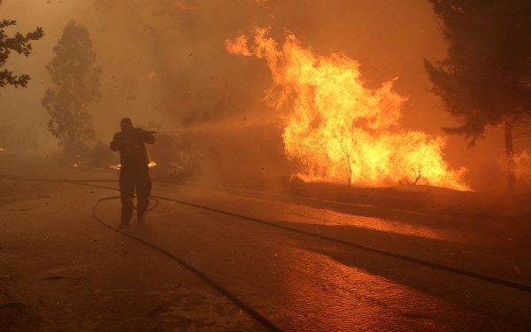 Φίδι δάγκωσε πυροσβέστη στη διάρκεια κατάσβεσης πυρκαγιάς