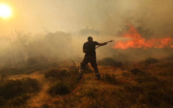 Ξέσπασε πυρκαγιά σε υδροβιότοπο στην Εύβοια - Μαίνεται ανεξέλεγκτη