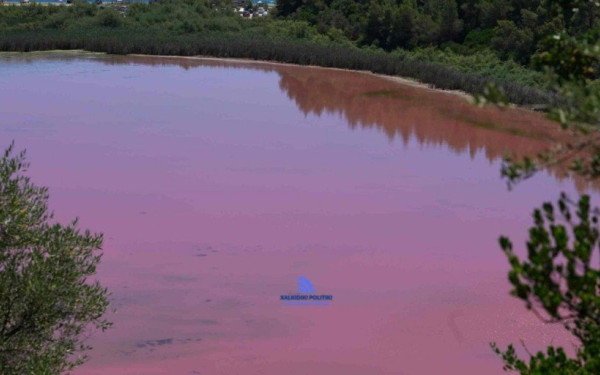 Ροζ λίμνη στη Χαλκιδική -Μοναδικό τοπίο στη Σιθωνία (βίντεο, φωτ.)