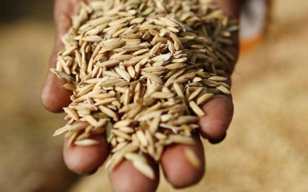 Θέτει όρους η Ρωσία για την παράταση της συμφωνίας για τα σιτηρά