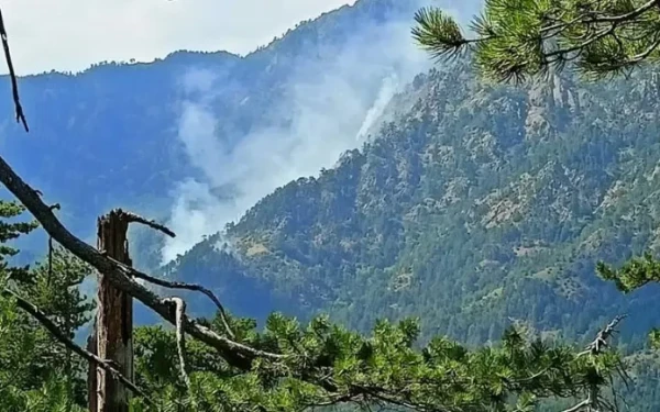 Γρεβενά: Χωρίς ενεργό μέτωπο η φωτιά στη Βάλια Κάλντα