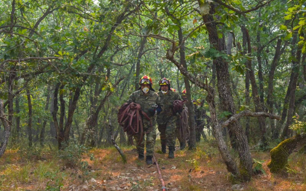 Ζητείται σχέδιο για την επόμενη ημέρα της Δαδιάς 