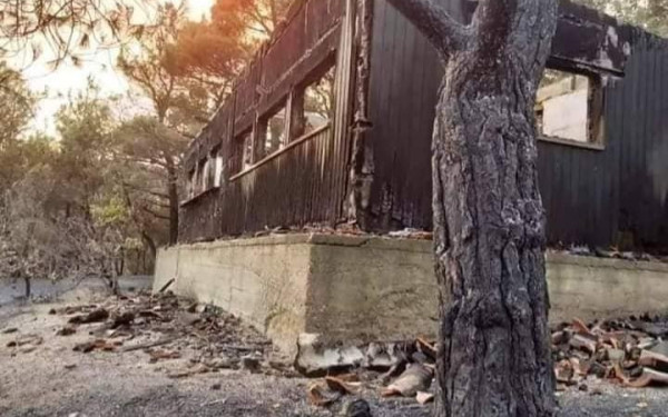 ﻿Πώς ήταν το παρατηρητήριο πουλιών στο δάσος της Δαδιάς και πώς έγινε﻿