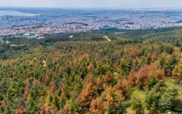 Συνάντηση Ζέρβα-Κωνσταντάτου για την προστασία του Σέιχ Σου