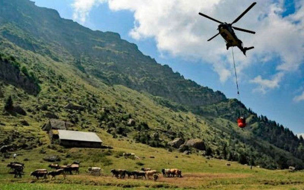Οι Ελβετοί στέλνουν νερό σε διψασμένα ζώα στα αλπικά λιβάδια με... στρατιωτικά ελικόπτερα (βίντεο & φωτ.)