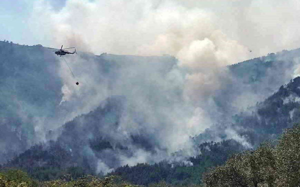 Για κακούργημα διώκεται ο 65χρονος που συνελήφθη στη Θάσο για εμπρησμό