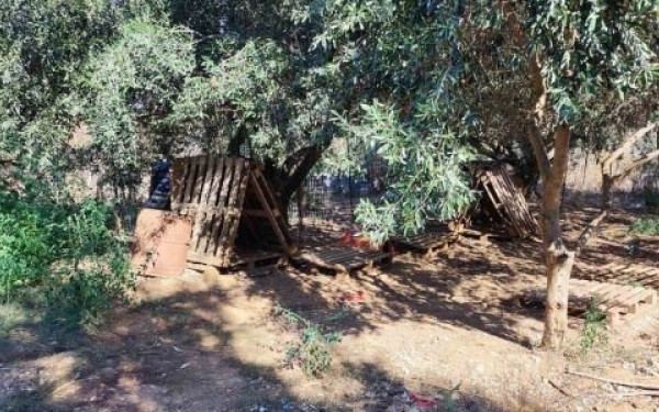 Φιλιππιάδα: Ο Δήμος Ζηρού διαψεύδει αλλά οι εικόνες των αδέσποτων στο κυνοκομείο-κόλαση, σοκάρουν!