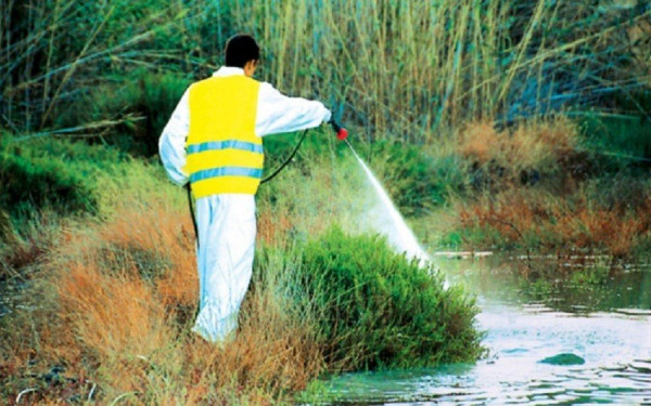 Ιός Δυτικού Νείλου: Εφιαλτική χρονιά το 2022, πρώτη στην Ευρώπη σε κρούσματα ανά κάτοικο η Κ. Μακεδονία - Οι χειρότεροι νομοί και δήμοι