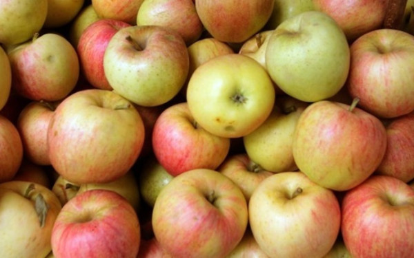 Διατροφική ασφάλεια: Μη κυβερνητικές οργανώσεις προειδοποιούν για τα κοκτέιλ φυτοφαρμάκων στα μήλα στην Ευρώπη