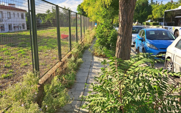 Θεσσαλονίκη: Εθελοντική δράση «Φυτεμένα δώματα vol.2: Καθαρισμός και δημιουργία κομποστοποιητή»