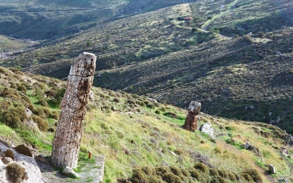 Στα πρώτα 100 μνημεία παγκόσμιας Γεωλογικής Κληρονομιάς το απολιθωμένο δάσος της Λέσβου και η καλδέρα της Σαντορίνης