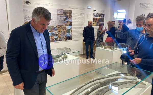 Ο μαστόδοντας βρήκε το... σπίτι του στην Πιερία - Εντυπωσιακές εικόνες