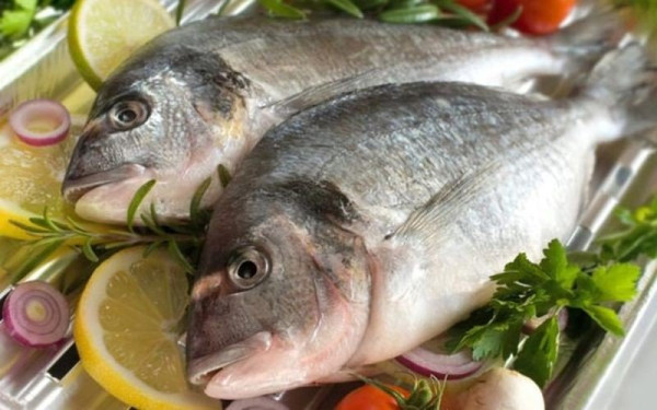 ΕΛ.ΚΕ.Θ.Ε για Παγασητικό: Ασφαλής η κατανάλωση ψαριών μετά τις πλημμύρες 