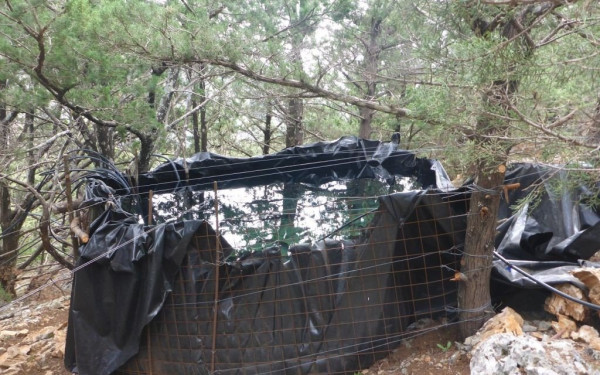 Έστησαν... φυτεία σε δασική περιοχή στα Σφακιά - Δείτε πόσα... δενδύλλια φύτεψαν (φωτ.)