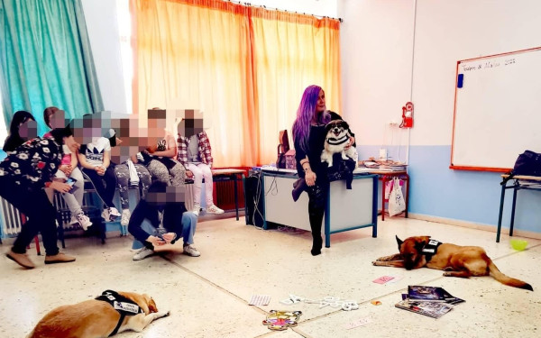 Θεσσαλονίκη: Πρώην αδέσποτοι σκύλοι μπαίνουν στα σχολεία και διδάσκουν στους μαθητές την αληθινή αγάπη