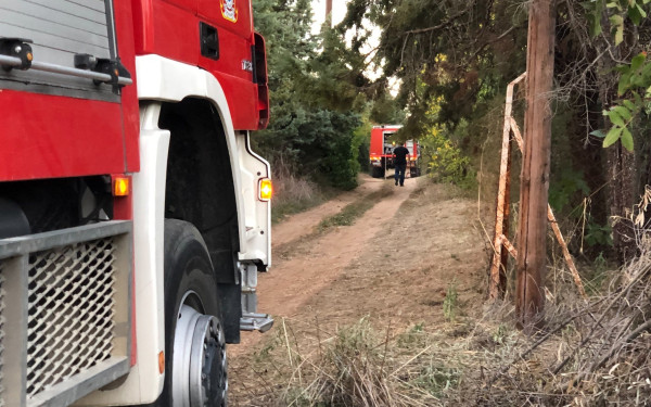 Θεσσαλονίκη: Συλλήψεις και πρόστιμα για φωτιές