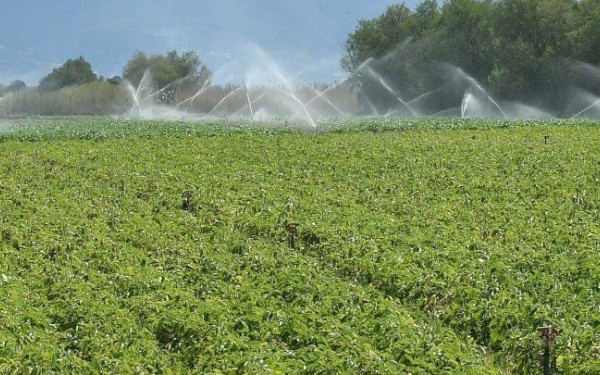 Θεσσαλονίκη - 30η Agrotica: Σχεδόν 15.000 οι νέοι αγρότες που θα εκπαιδευτούν από τον ΕΛΓΟ-Δήμητρα