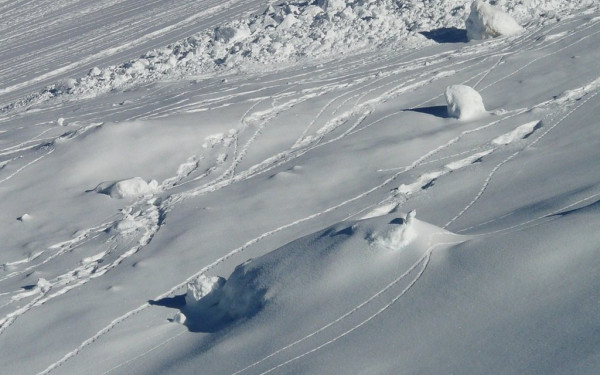 Αυστρία: Πέντε άνθρωποι σκοτώθηκαν εξαιτίας χιονοστιβάδων