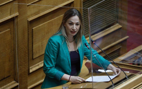 Ειρήνη Αγαθοπούλου: Η ακρίβεια μαστίζει και οι «γαλάζιες ακρίδες» κάνουν χρυσές δουλειές 