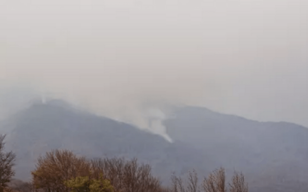 ﻿Ροδόπη: 300 πυροσβέστες από όλη τη χώρα στη μάχη της φωτιάς στο Παπίκιο﻿