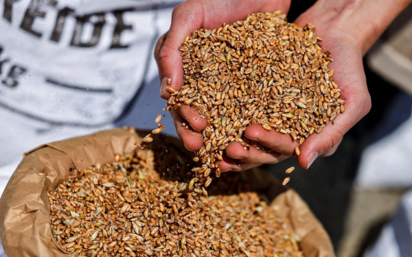 Σύμφωνη η Ρωσία με την παράταση της συμφωνίας για την εξαγωγή των ουκρανικών σιτηρών