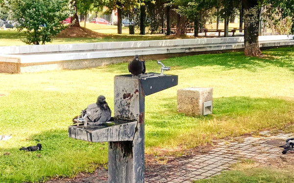 Νοέμβριος και ακόμη... άφαντες οι νέες βρύσες στη Νέα Παραλία - Τι συμβαίνει με τον χορηγό και γιατί απορρίφθηκε η πρόταση της ΕΥΑΘ