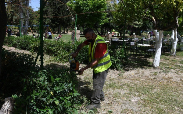 Θεσσαλονίκη: Οι δήμοι κόβουν δέντρα και οι πολίτες στήνουν… καρτέρι για να πάρουν τσάμπα ξύλα για το τζάκι
