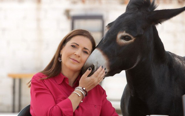 «Γιατί είναι τιμωρία να είσαι γαϊδούρι;»