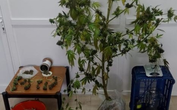 Συλλήψεις για ναρκωτικά σε Χαλκιδική και Πέλλα
