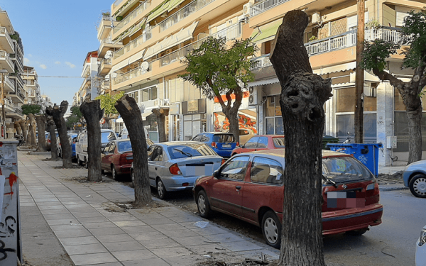 «Μίνι» αναβολή στις μαζικές κοπές δέντρων στη Θεσσαλονίκη - Προσφεύγει στην εισαγγελία η αντιπολίτευση (φωτ.)