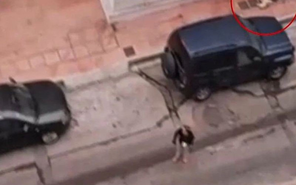 Δραπετσώνα: Λυκόσκυλο όρμηξε και κατασπάραξε κανίς μέσα από την αγκαλιά της ιδιοκτήτριάς του (βίντεο)