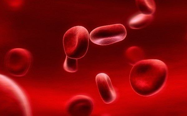 Το αίμα... μίλησε: Γιατί είναι τόσο ξεχωριστοί οι άνθρωποι που έχουν ομάδα Ο;