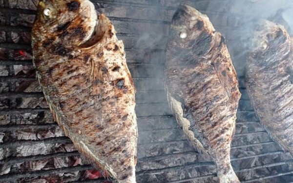 Πριν από 780.000 χρόνια έψηναν ψάρια στα κάρβουνα – Στο Ισραήλ οι αρχαιότερες ενδείξεις μαγειρέματος σε φωτιά