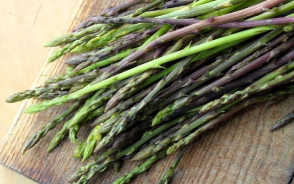 ΕΟΔΥ: Στο νοσοκομείο με συμπτώματα αλλαντίασης ζευγάρι - Κατανάλωσαν σπαράγγια σε κονσέρβα