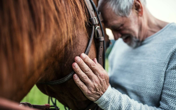 Επαναστατική έρευνα: Και όμως ο άνθρωπος μπορεί να... μιλήσει με τα ζώα