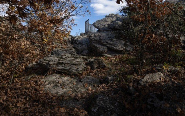 «Βιβλίο» δασικής γνώσης και εκπαίδευσης το Πανεπιστημιακό Δάσος Ταξιάρχη (βίντεο)