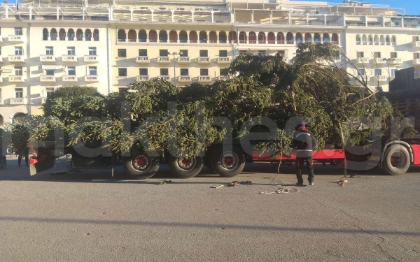 Θεσσαλονίκη: Έτοιμο να... λάμψει το χριστουγεννιάτικο δέντρο στην Αριστοτέλους (φωτ.)