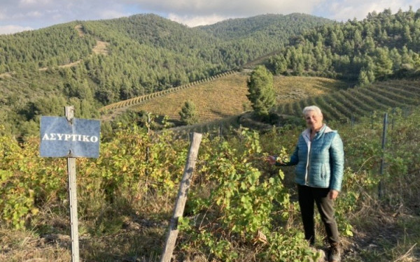Νέα εποχή για το κτήμα του Πόρτο Καρρά