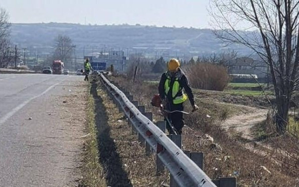 Εργασίες κοπής πρασίνου στην Περιφερειακή - Πού θα αποκλειστεί η κυκλοφορία 