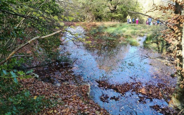 Χορτιάτης: «Κραυγή αγωνίας» από τους κατοίκους για την προστασία του δάσους (φωτ.)