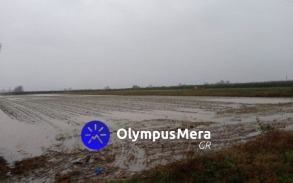 Πιερία: Να αποζημιωθούν άμεσα οι πληγέντες από την «Άριελ», ζητά ο πρόεδρος του Επιμελητηρίου