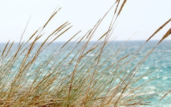 Προς υλοποίηση οι ιαματικές πηγές Πολιχνίτου στη Λέσβο