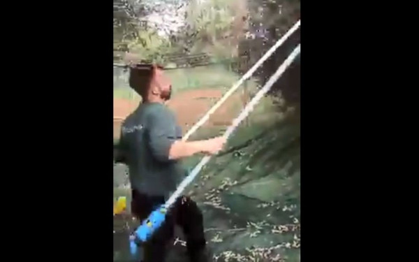 Viral Kρητικός που ακούει την τιμή του ελαιολάδου και πιάνει… δεύτερη βέργα (βίντεο)