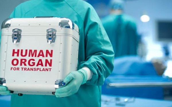 ΕΟΜ: «Δώρο ζωής» σε πάνω από 200 ασθενείς έδωσαν 87 οικογένειες δοτών το 2023