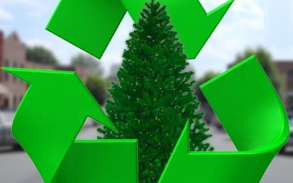 Δήμος Πυλαία-Χορτιάτη: Ανακύκλωση χριστουγεννιάτικων δέντρων με ένα τηλεφώνημα 