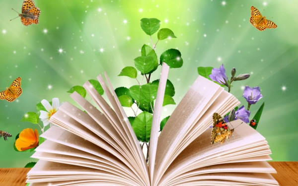 Στη βιβλιοθήκη με... συνταγή γιατρού: Έφτασε και στην Ελλάδα η δράση που βελτιώνει την ψυχική υγεία