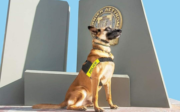 Πέθανε ο Mickey, ο σκύλος που υπηρέτησε την ΕΛ.ΑΣ για 10 χρόνια (φωτ.)