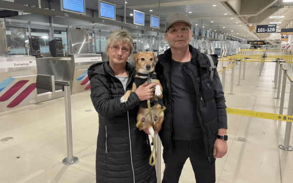 Γερμανία: Ιδιοκτήτες σκύλων άλλαξαν χρονιά στο αεροδρόμιο για να μην αναστατωθούν οι τετράποδοι φίλοι τους (φωτ.)