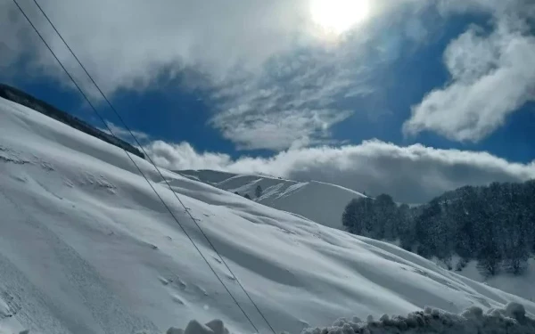 Κατάλευκο τοπίο στο Μέτσοβο - Δείτε μαγικές φωτογραφίες